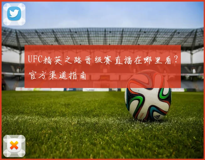 UFC精英之路晋级赛直播在哪里看？官方渠道指南