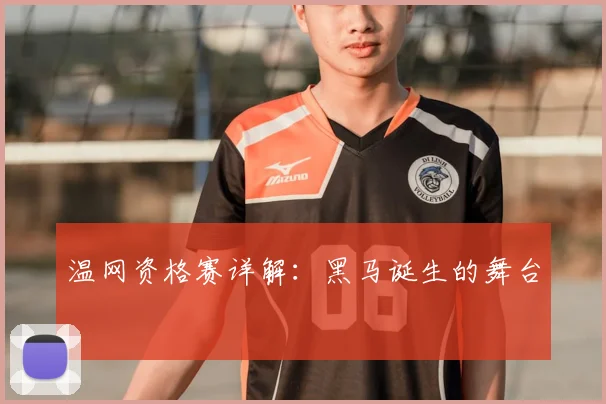 温网资格赛详解:黑马诞生的舞台
