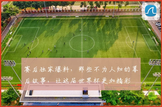 赛后独家爆料,那些不为人知的幕后故事,让这届世界杯更加精彩