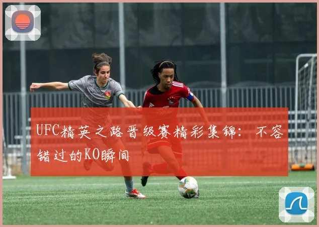 UFC精英之路晋级赛精彩集锦:不容错过的KO瞬间