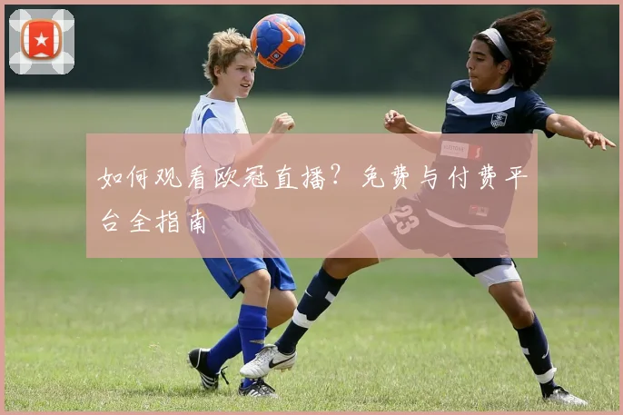 如何观看欧冠直播？免费与付费平台全指南