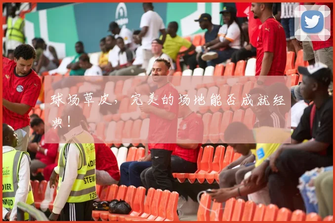 球场草皮,完美的场地能否成就经典!