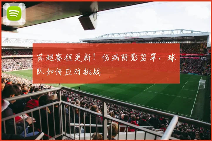 苏超赛程更新!伤病阴影笼罩,球队如何应对挑战